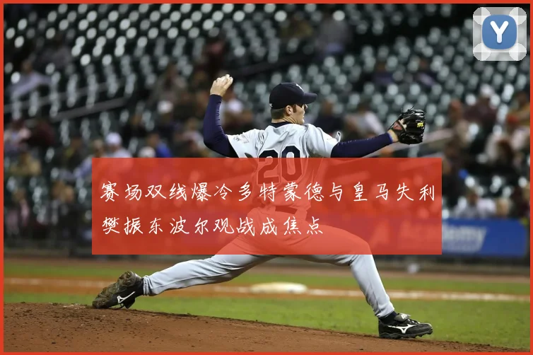 赛场双线爆冷多特蒙德与皇马失利樊振东波尔观战成焦点