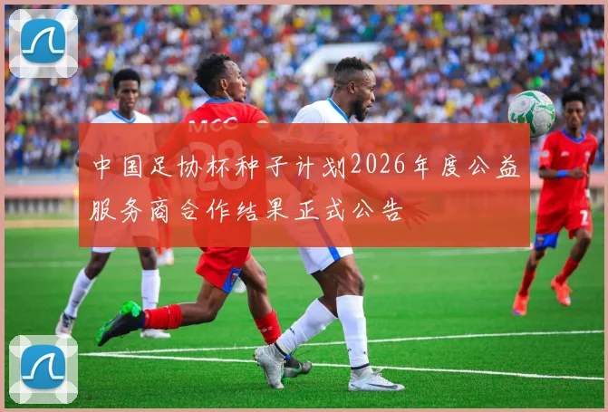 中国足协杯种子计划2026年度公益服务商合作结果正式公告